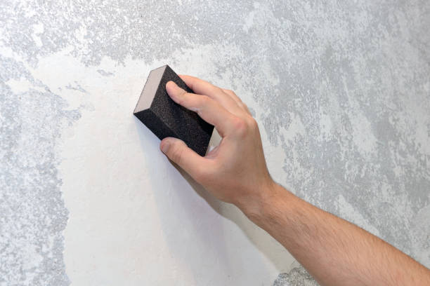 Best Attic Mold Removal  in Makakilo, HI