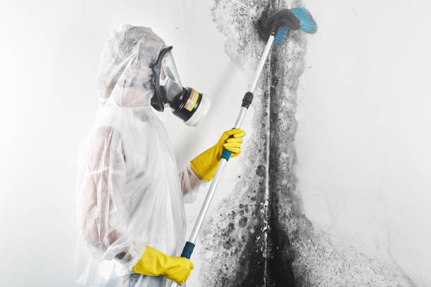 Best Industrial Mold Remediation  in Makakilo, HI