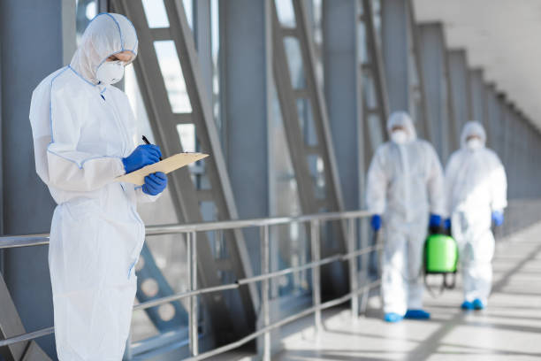 Best Mold Damage Restoration  in Makakilo, HI