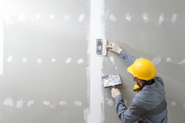 Best Environmental Consulting for Mold Prevention  in Makakilo, HI