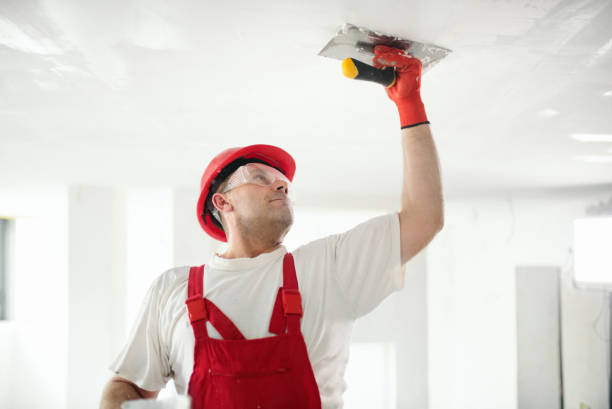 Best Dehumidification Services  in Makakilo, HI