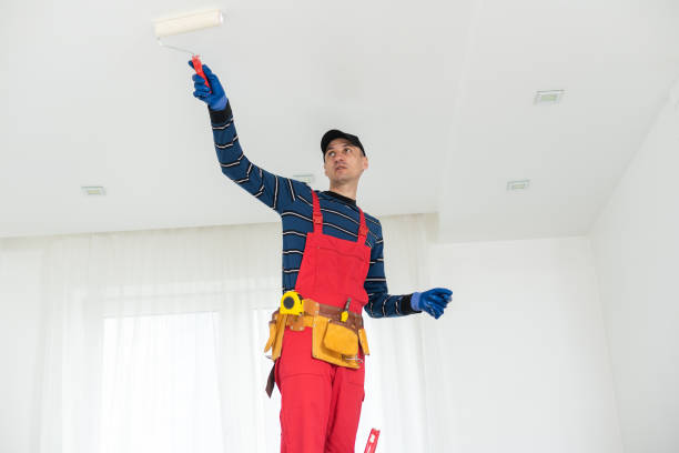 Best Mold Removal for HVAC Installations  in Makakilo, HI