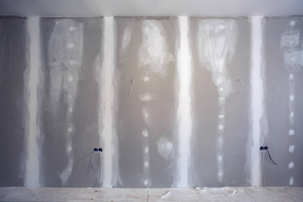 Best Emergency Mold Remediation  in Makakilo, HI